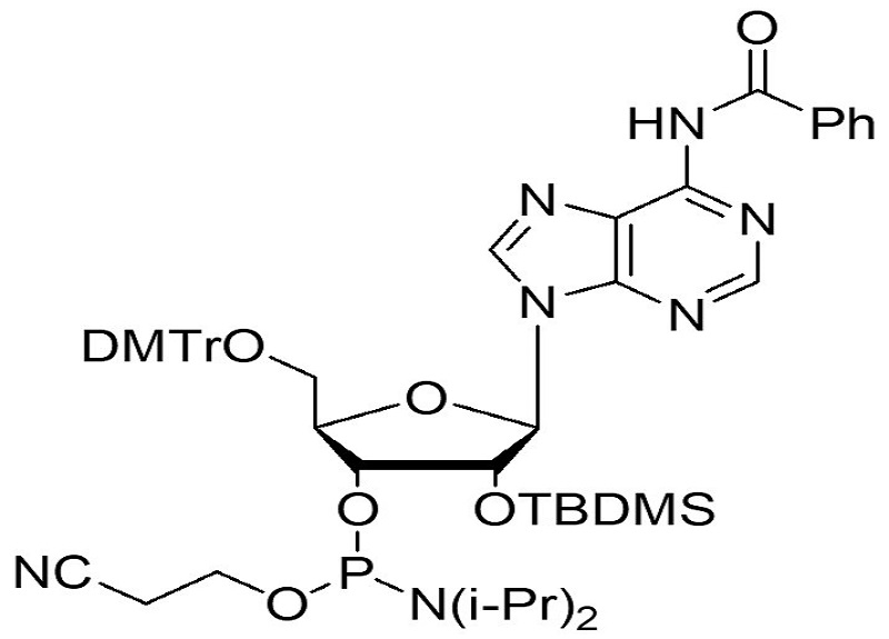 5'-ODMT-2’-OTBDMS-N-Bz adenosine amidite